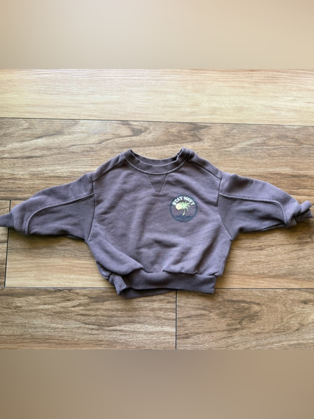 Grayson Mini 12M Baby Sweatshirt “Stay Wavy” Palm Tree Brown Crewneck